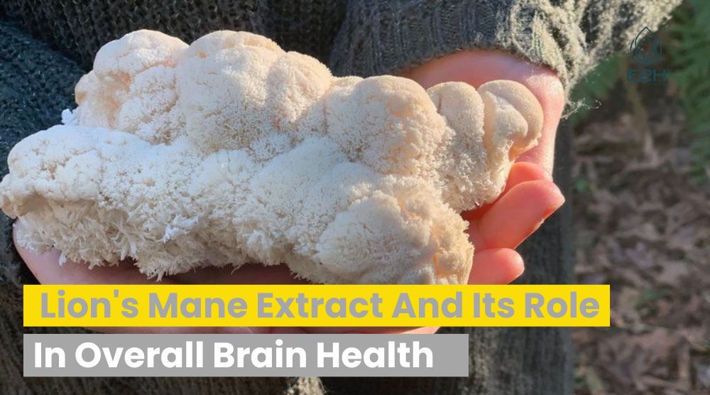 Lion’s Mane Extract And Its Role In Overall Brain Health: Boost Your Brain Health