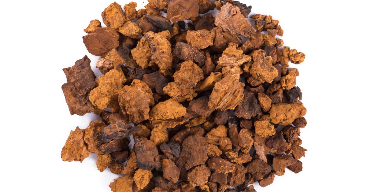 Does Lion's Mane Mushroom Cause Kidney Stones No! Wellness Blog