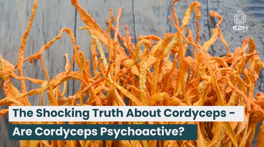 Are Cordyceps Psychoactive