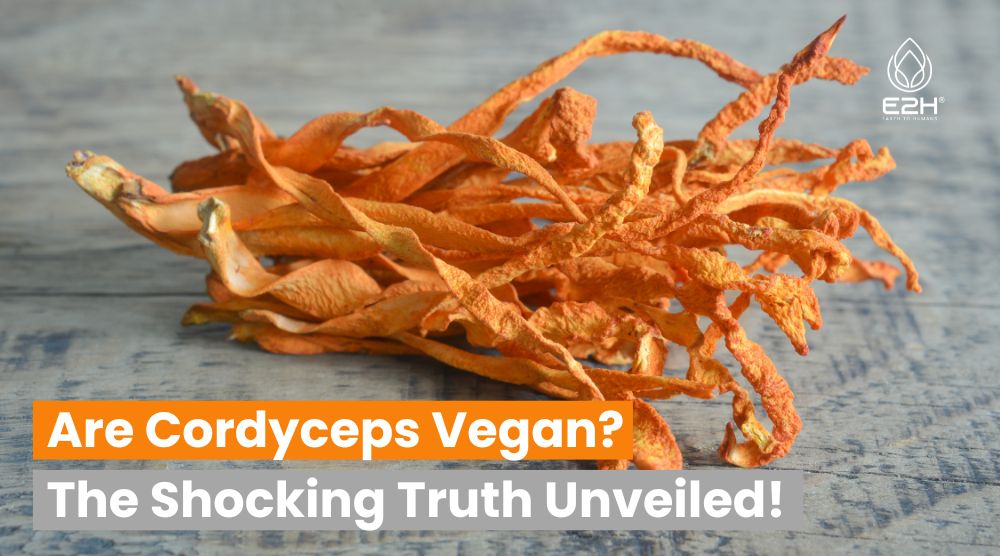 Are Cordyceps Vegan