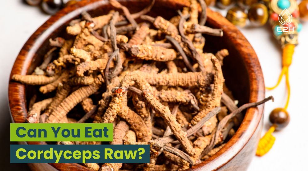 Can You Eat Cordyceps Raw