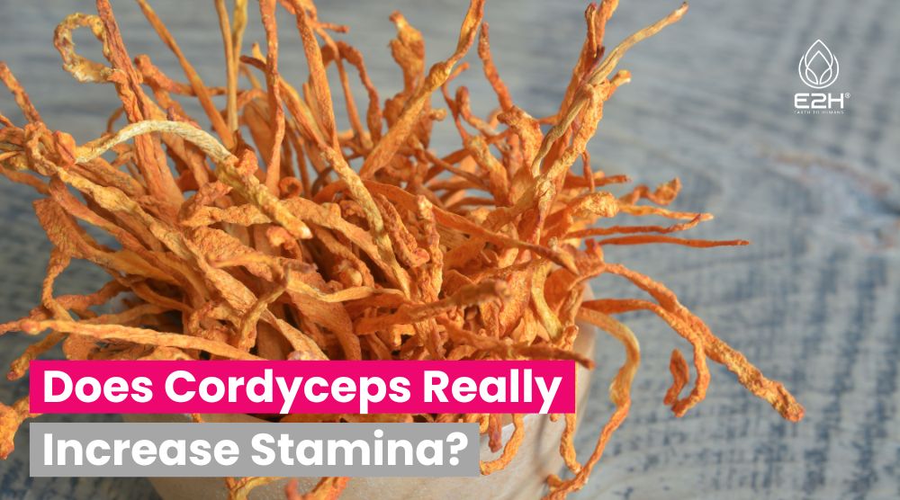 Does Cordyceps Really Increase Stamina