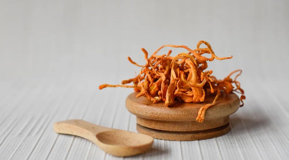 How To Take Cordyceps