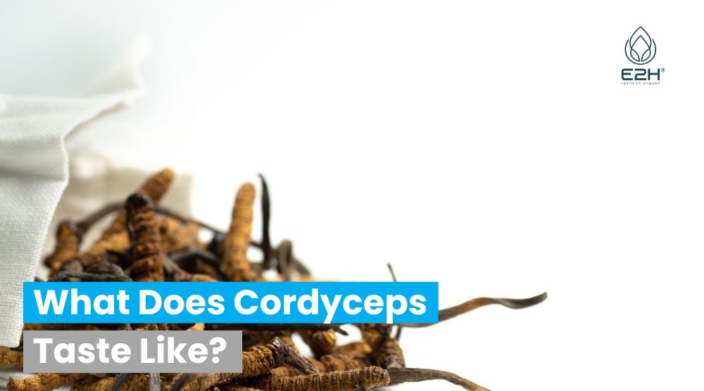 What Does Cordyceps Taste Like