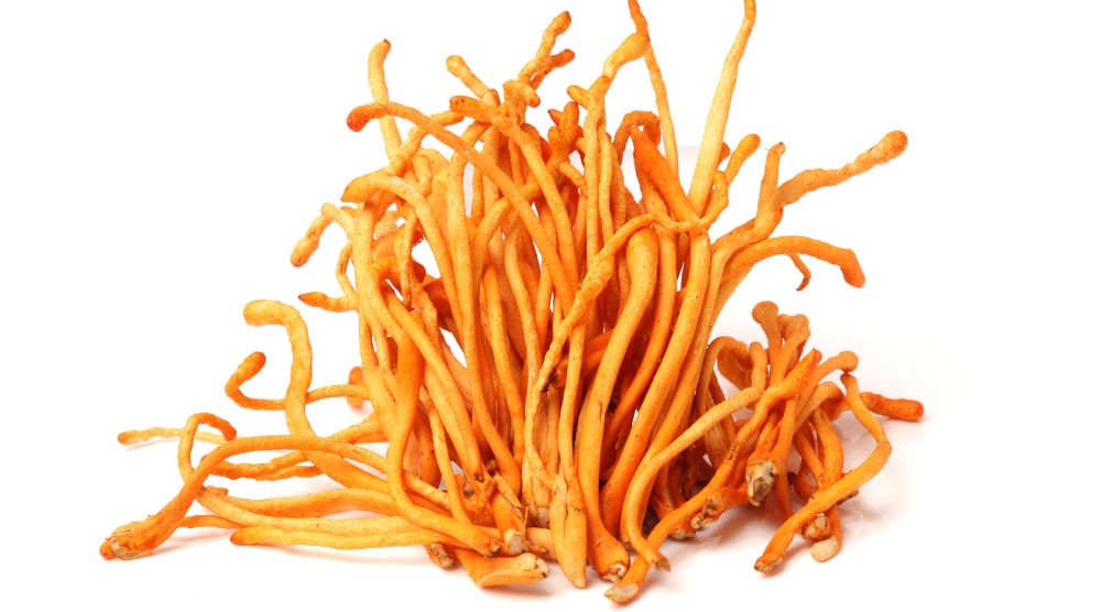 What Does Cordyceps Taste Like