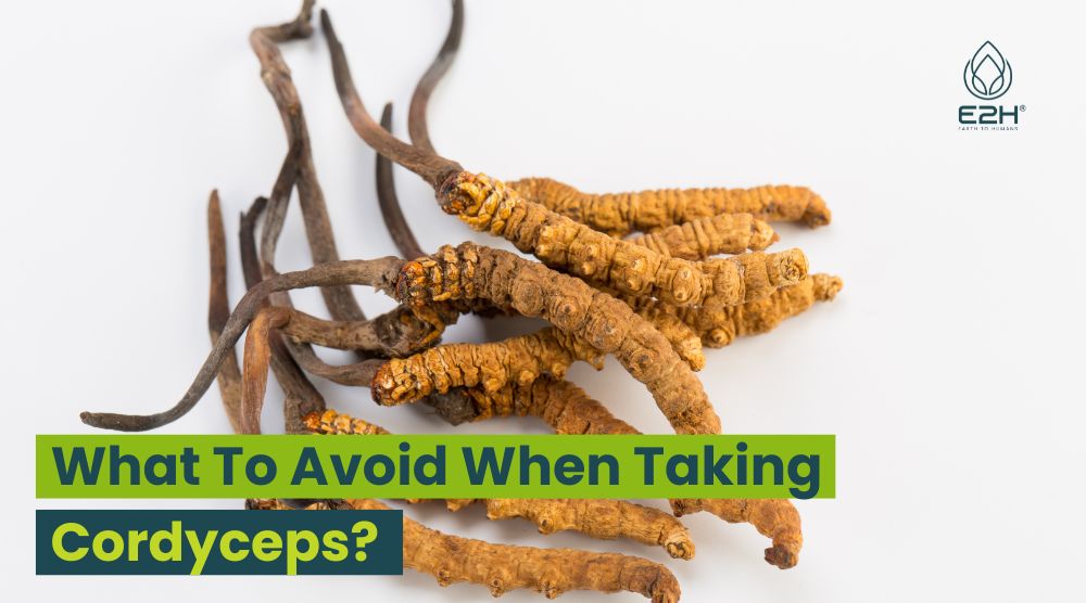 What To Avoid When Taking Cordyceps