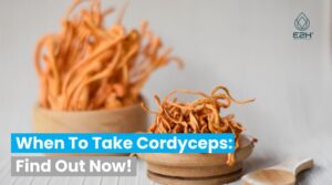 When To Take Cordyceps