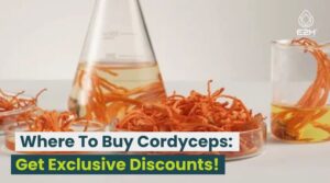 Where To Buy Cordyceps