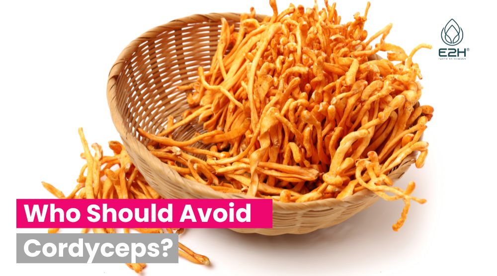 Who Should Avoid Cordyceps