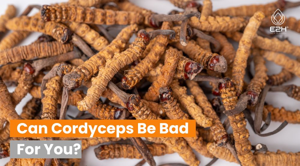 Can Cordyceps Be Bad For You?