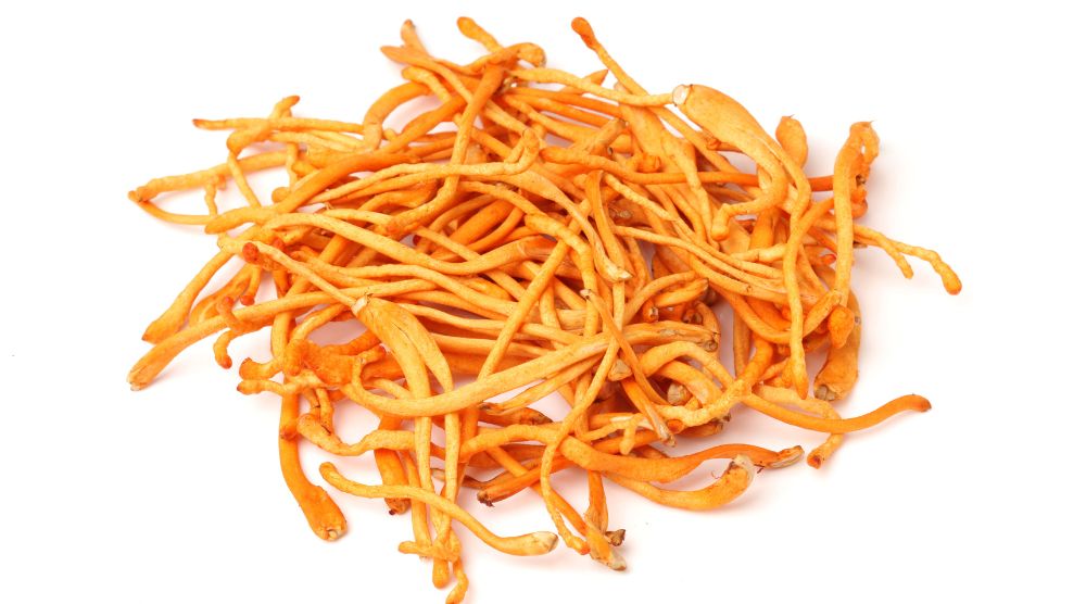 Can Cordyceps Be Bad For You