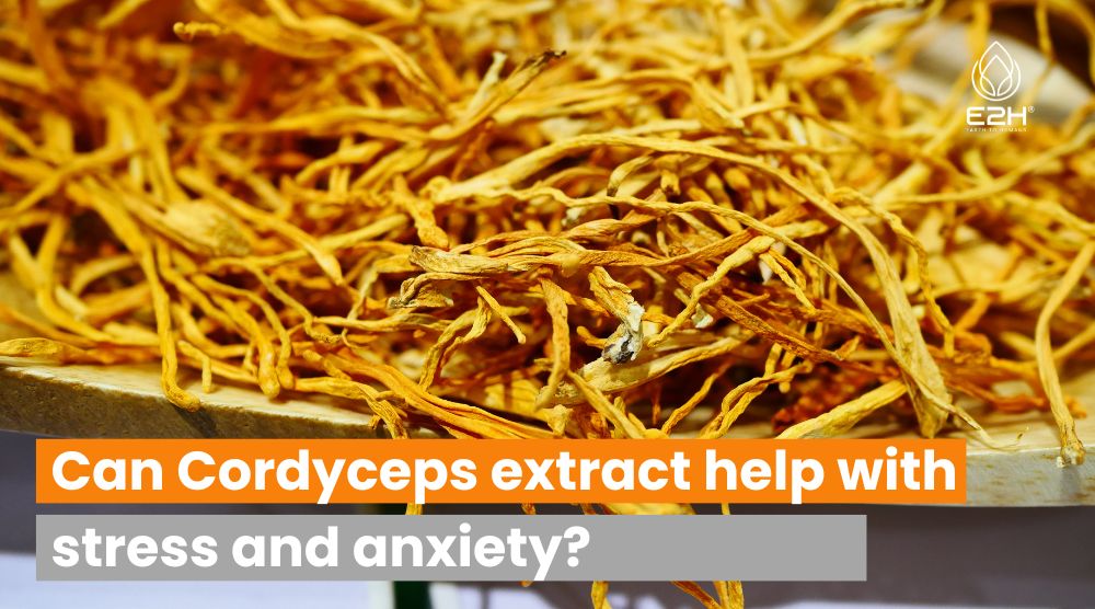 Can Cordyceps Extract Help With Stress and Anxiety?