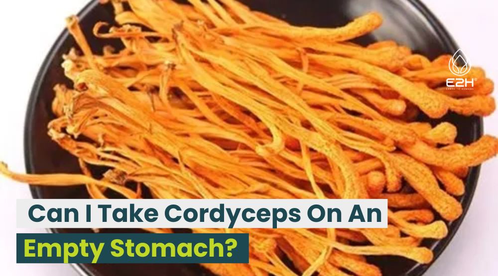 Can I Take Cordyceps On An Empty Stomach?