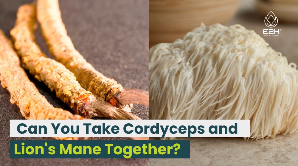 Can You Take Cordyceps and Lion's Mane Together