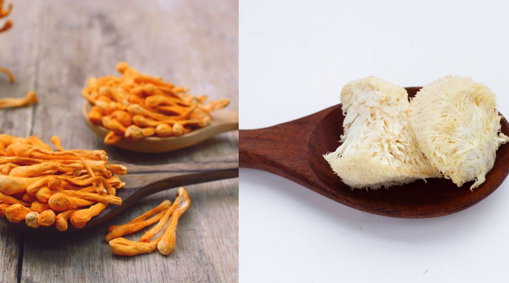 Can You Take Cordyceps and Lion's Mane Together