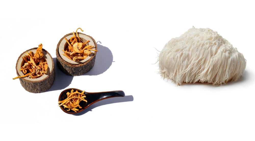 Can You Take Cordyceps and Lion's Mane Together