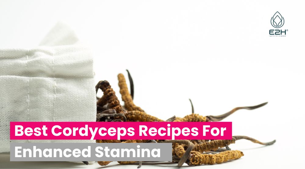 Best Cordyceps Recipes For Enhanced Stamina