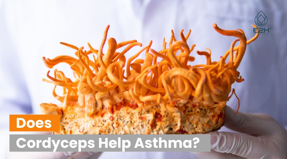 Does Cordyceps Help Asthma