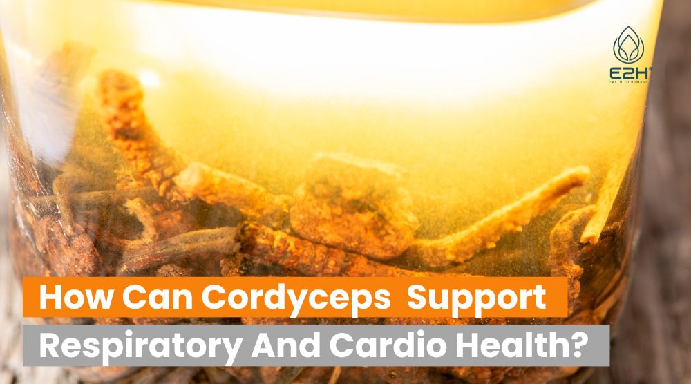 How Can Cordyceps Support Respiratory And Cardio Health? Best Suggestion!