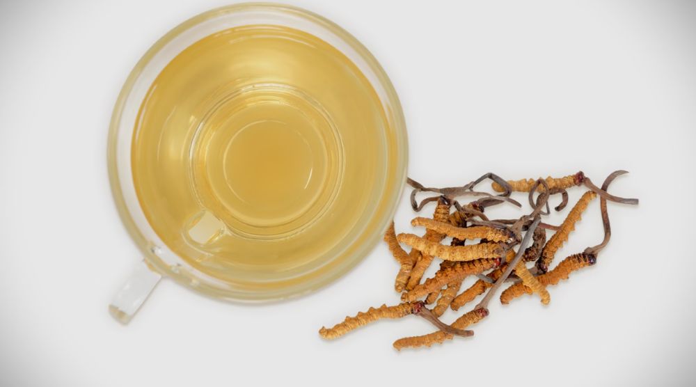 How Should Cordyceps Liquid Extract Be Consumed