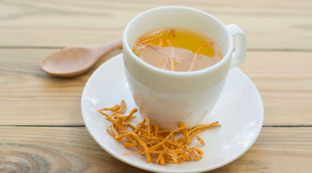 How Should Cordyceps Liquid Extract Be Consumed