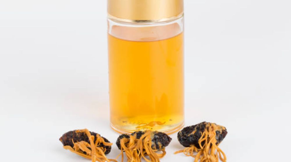 How Should Cordyceps Liquid Extract Be Consumed