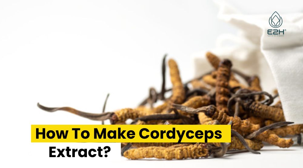 How To Make Cordyceps Extract?