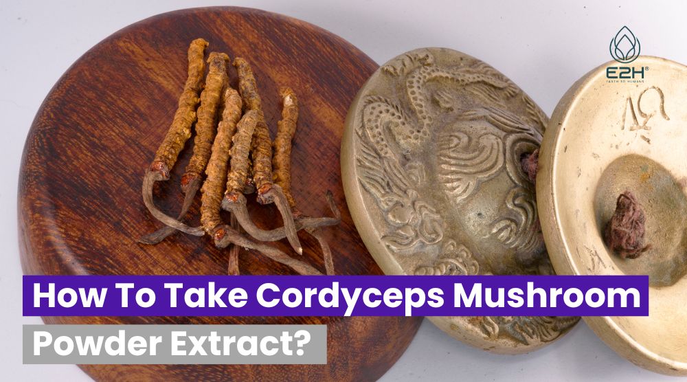 How To Take Cordyceps Mushroom Powder Extract? Best Methods