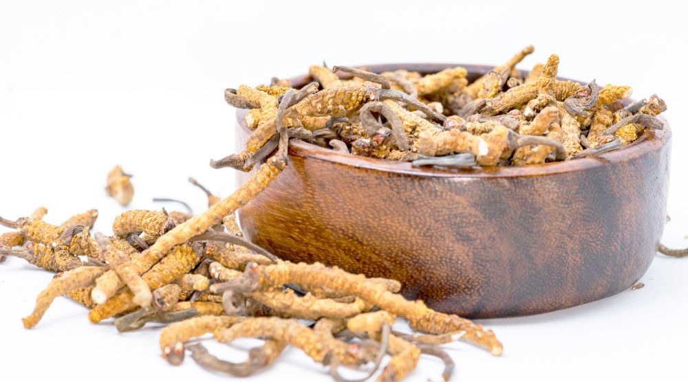 How To Take Cordyceps Mushroom Powder Extract