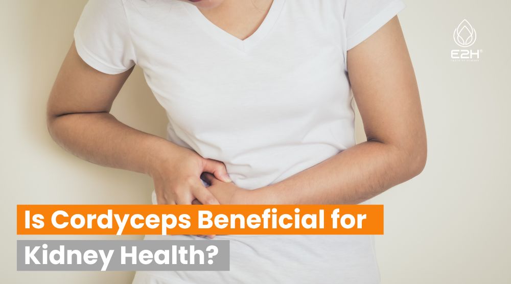 Is Cordyceps Beneficial for Kidney Health? The Science Revealed