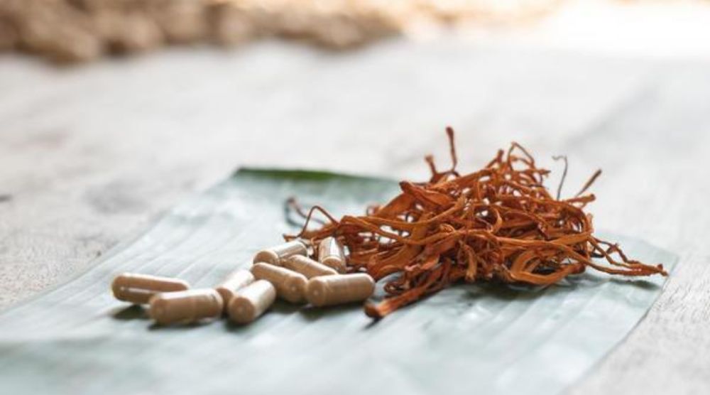 Is Cordyceps Beneficial for Kidney Health