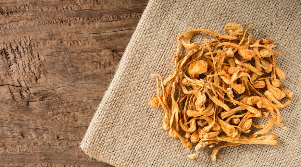 Is Cordyceps Extract a Natural Remedy For Low Libido