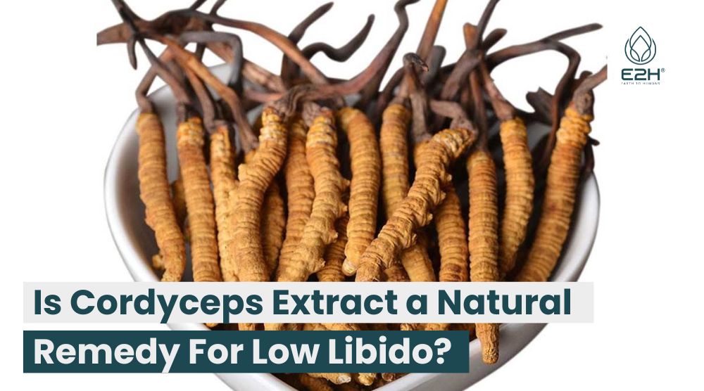 Is Cordyceps Extract a Natural Remedy For Low Libido?