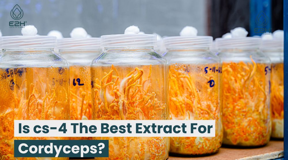 Is cs-4 The Best Extract For Cordyceps?