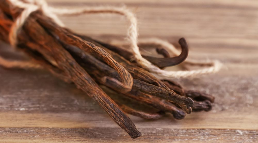 Is cs-4 The Best Extract For Cordyceps