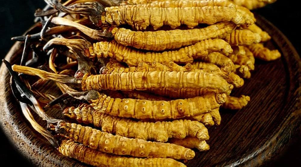 What Are The Nutritional Benefits Of Cordyceps