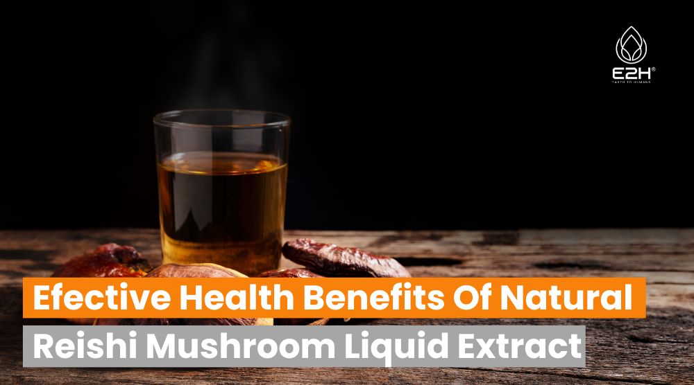 Health Benefits Of Natural Reishi Mushroom Liquid Extract