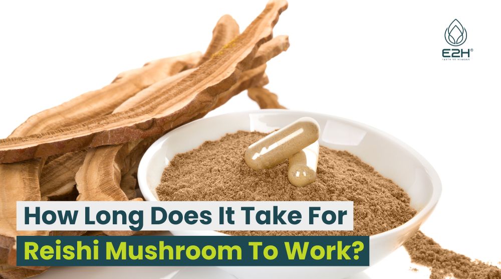 How Long Does It Take For Reishi Mushroom To Work