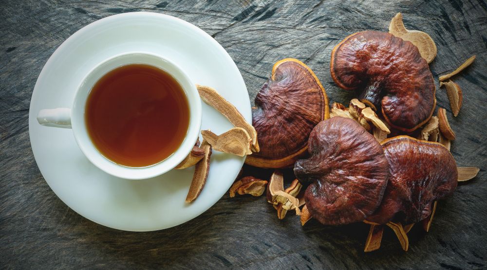 How Long Does It Take For Reishi Mushroom To Work