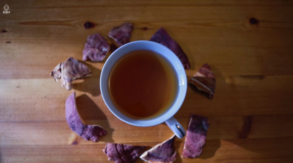 How To Make Reishi Tea