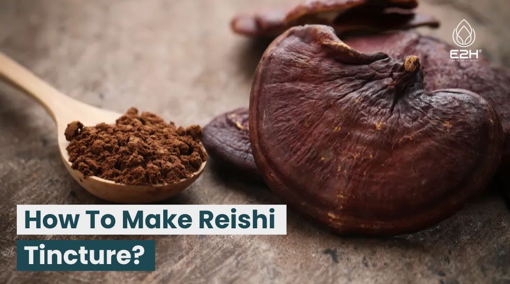 How To Make Reishi Tincture