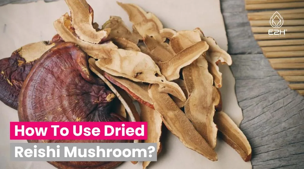 How To Use Dried Reishi Mushroom