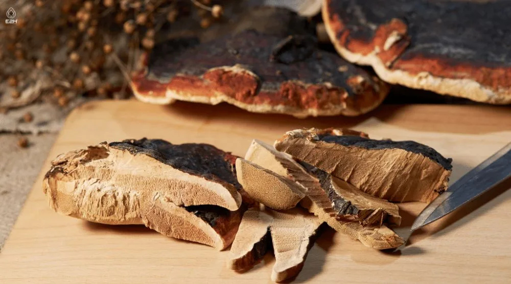 How To Use Dried Reishi Mushroom