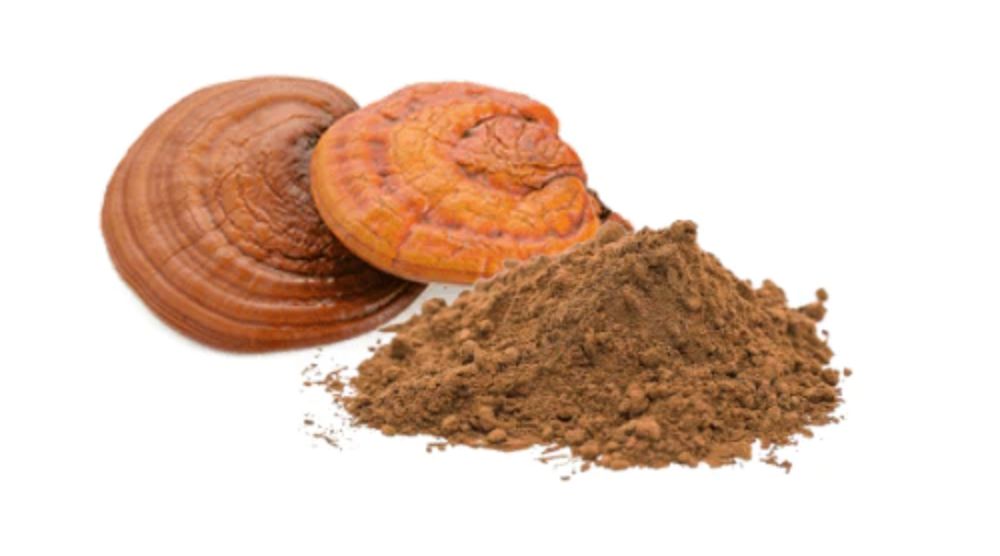 How To Use Reishi Mushroom Powder