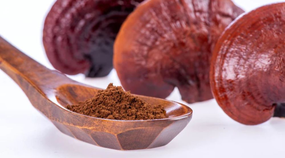 How To Use Reishi Mushroom Powder