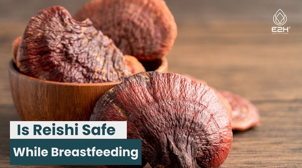 Is Reishi Safe While Breastfeeding