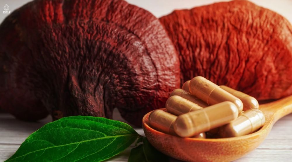 Is Reishi Safe While Breastfeeding