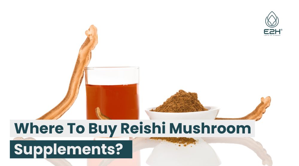 Where To Buy Reishi Mushroom Supplements