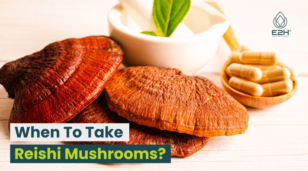 When To Take Reishi Mushrooms