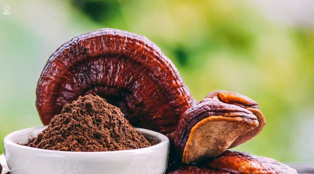 When To Take Reishi Mushrooms